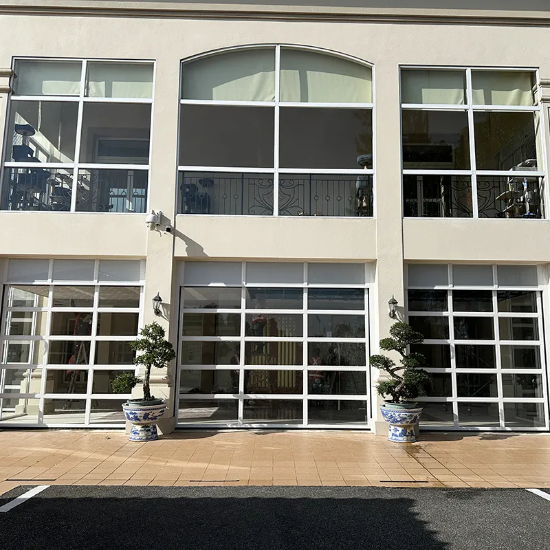 full view sectional door