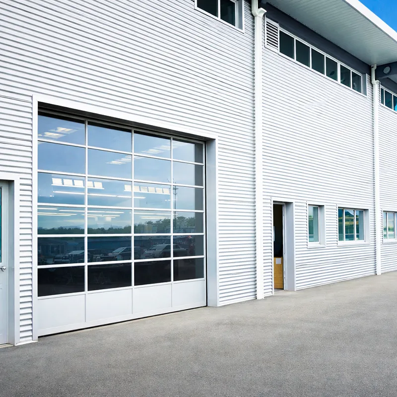 glass sectional door