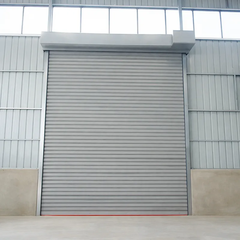 win resistant rolling door